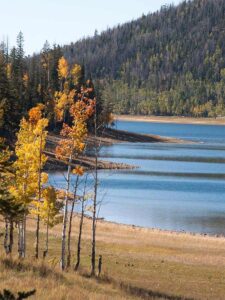Duck Creek City ebike rental
