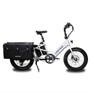 electric bike with cargo carrier south utah